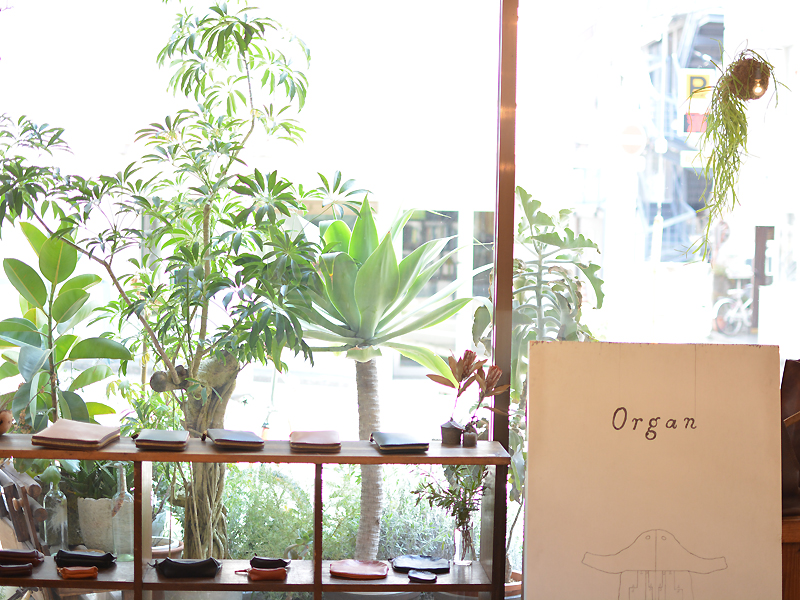 Organの森